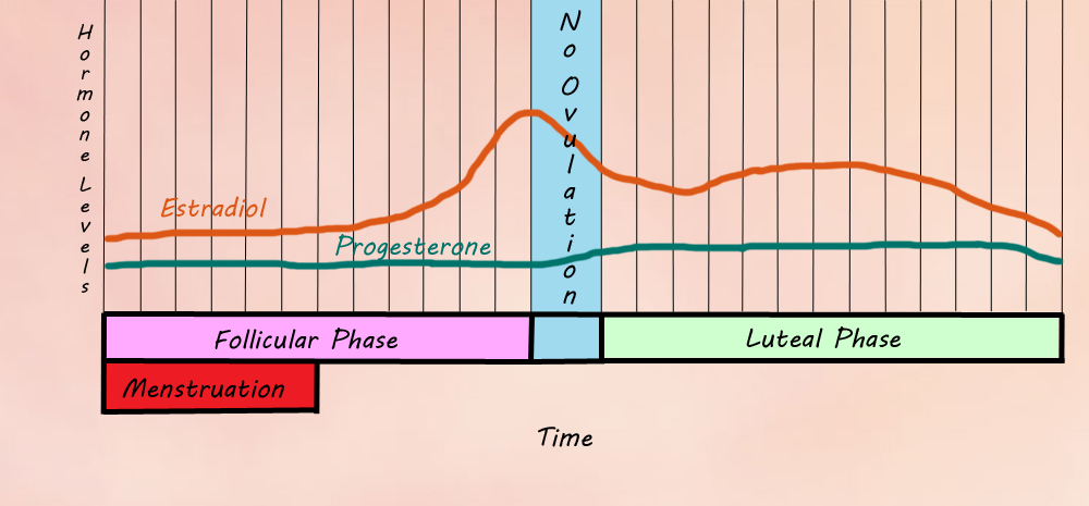 Estradiol Cycle Anovulation